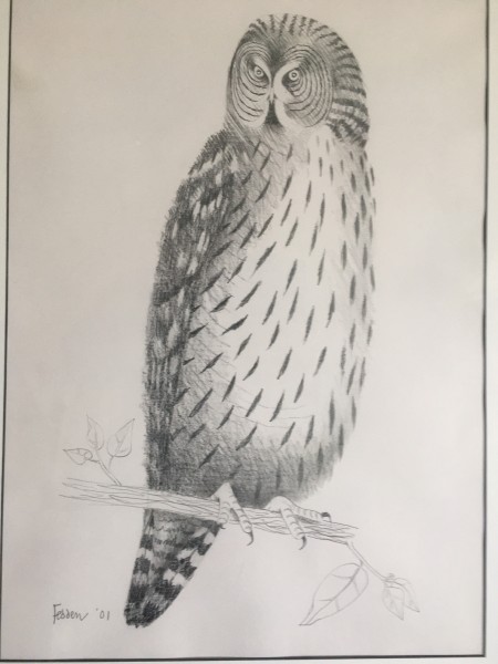 Fedden Owl (large)