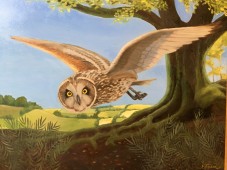 Eleanor Fein Owl Hunting